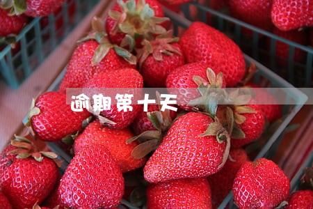 逾期第十天 逾期第十天