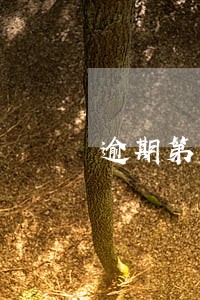 逾期第四天凌晨还的款上征信嘛 逾期第四天凌晨还的款上征信嘛