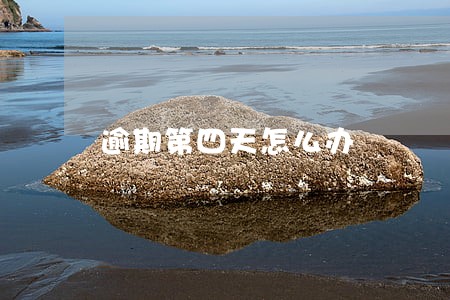 逾期第四天怎么办 逾期第四天怎么办