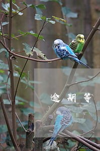逾期等于老赖吗 逾期等于老赖吗