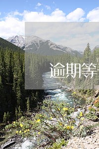 逾期等于黑名单 逾期等于黑名单
