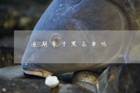 逾期等于黑名单吗 逾期等于黑名单吗