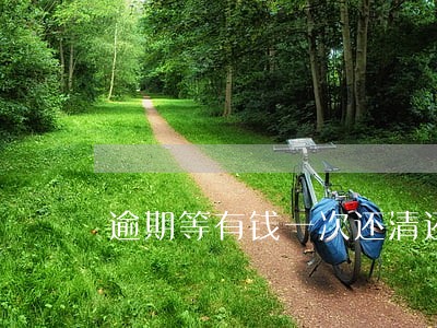 逾期等有钱一次还清还是一点点还 逾期等有钱一次还清还是一点点还