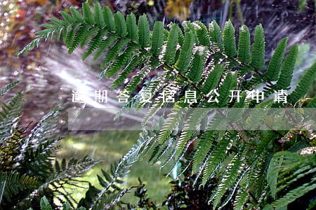 逾期答复信息公开申请 逾期答复信息公开申请