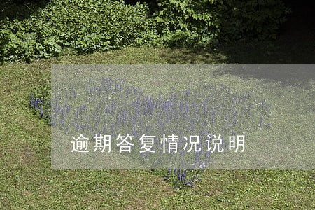 逾期答复情况说明 逾期答复情况说明