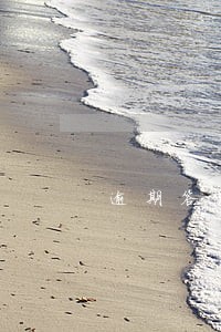 逾期答复诉讼 逾期答复诉讼