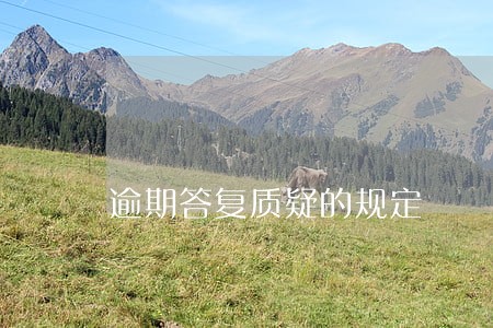 逾期答复质疑的规定