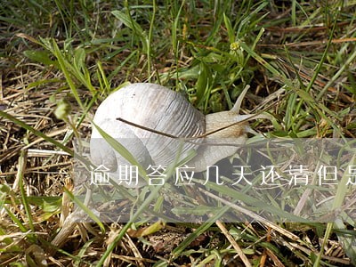 逾期答应几天还清但是没有还 逾期答应几天还清但是没有还