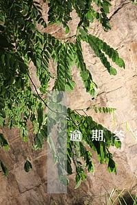 逾期答辩图片 逾期答辩图片