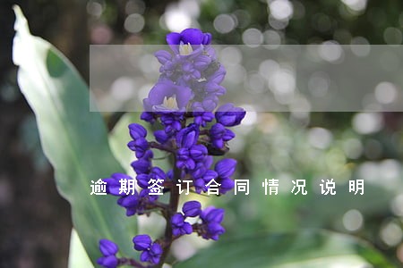 逾期签订合同情况说明 逾期签订合同情况说明