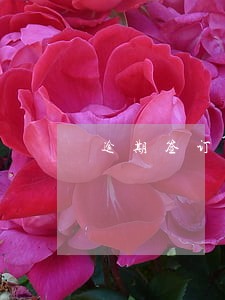 逾期签订合同的情况说明 逾期签订合同的情况说明
