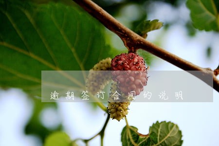 逾期签订合同的说明 逾期签订合同的说明