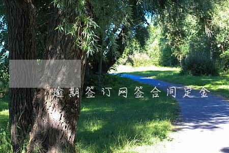 逾期签订网签合同定金 逾期签订网签合同定金