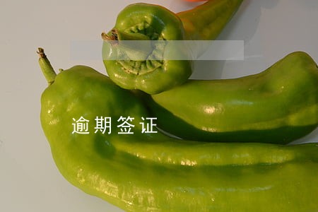 逾期签证 逾期签证