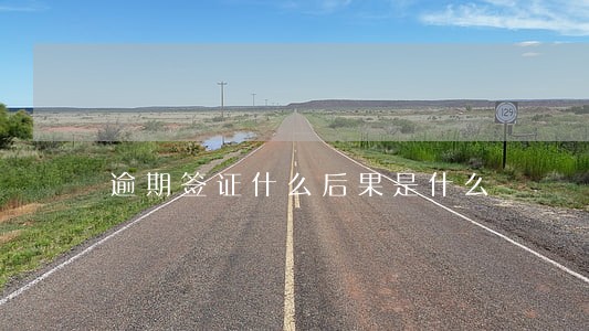 逾期签证什么后果是什么 逾期签证什么后果是什么