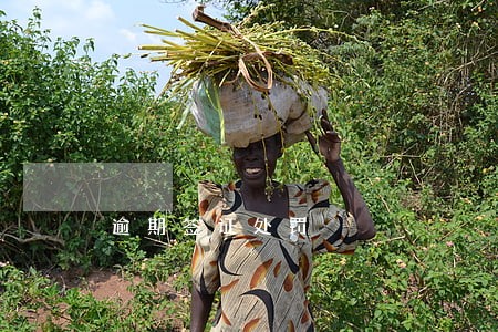逾期签证处罚 逾期签证处罚