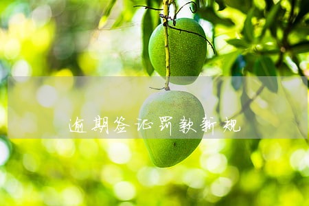 逾期签证罚款新规 逾期签证罚款新规