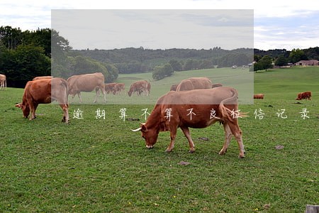 逾期算不算不良征信记录 逾期算不算不良征信记录