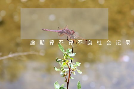 逾期算不算不良社会记录 逾期算不算不良社会记录