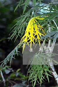 逾期算不算个人信用不良记录 逾期算不算个人信用不良记录