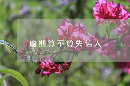 逾期算不算失信人 逾期算不算失信人