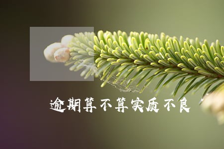 逾期算不算实质不良 逾期算不算实质不良