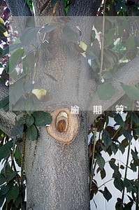 逾期算不算有犯罪记录能出国吗 逾期算不算有犯罪记录能出国吗