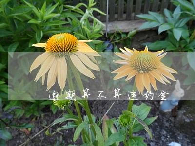 逾期算不算违约金 逾期算不算违约金