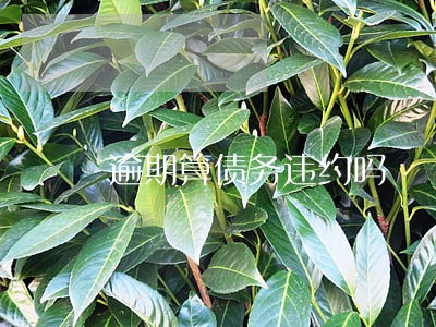 逾期算债务违约吗 逾期算债务违约吗