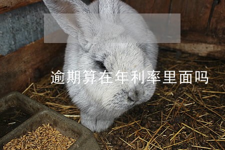 逾期算在年利率里面吗 逾期算在年利率里面吗