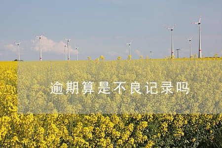 逾期算是不良记录吗 逾期算是不良记录吗