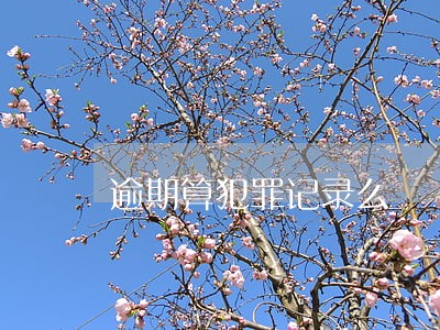 逾期算犯罪记录么 逾期算犯罪记录么