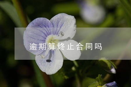 逾期算终止合同吗 逾期算终止合同吗