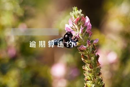 逾期算违约 逾期算违约