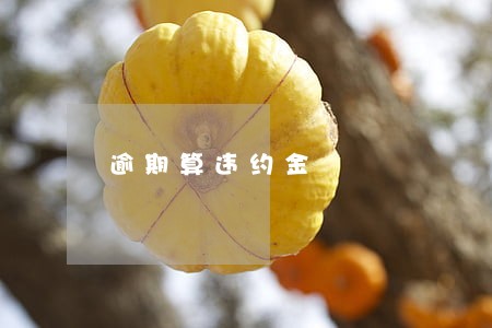 逾期算违约金 逾期算违约金