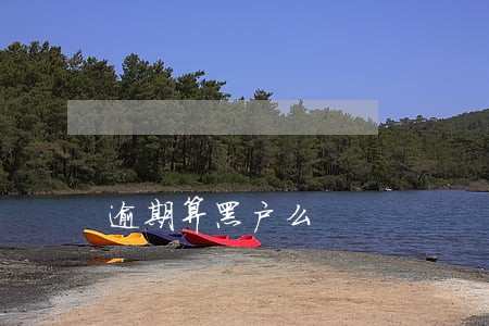 逾期算黑户么