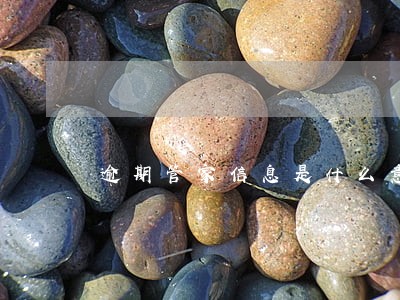 逾期管家信息是什么意思 逾期管家信息是什么意思