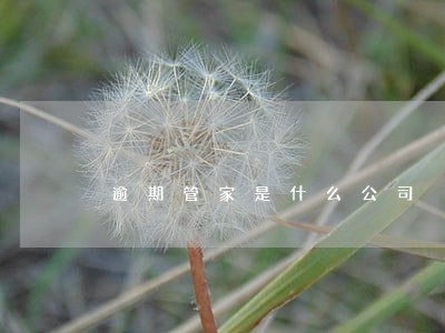 逾期管家是什么公司 逾期管家是什么公司