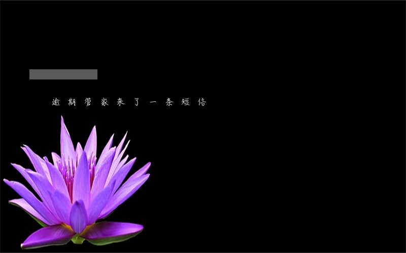 逾期管家来了一条短信 逾期管家来了一条短信