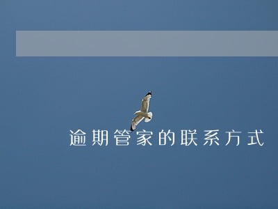 逾期管家的联系方式 逾期管家的联系方式