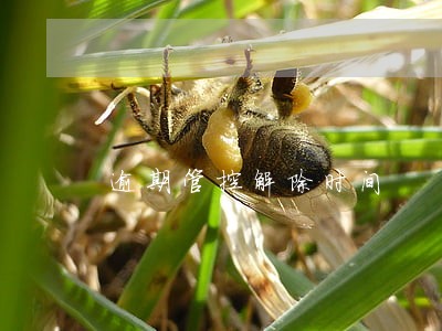 逾期管控解除时间 逾期管控解除时间