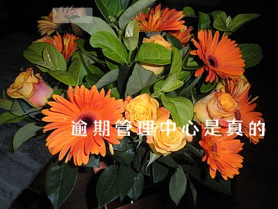 逾期管理中心是真的 逾期管理中心是真的