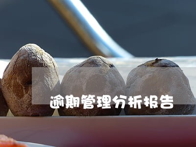 逾期管理分析报告 逾期管理分析报告