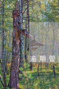 逾期管理员工作内容 逾期管理员工作内容