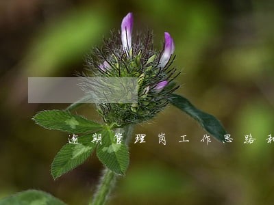 逾期管理岗工作思路和工作举措
