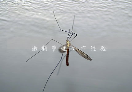 逾期管理工作经验 逾期管理工作经验