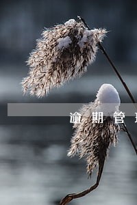 逾期管理日常工作有哪些 逾期管理日常工作有哪些