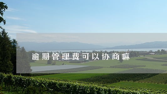 逾期管理费可以协商嘛