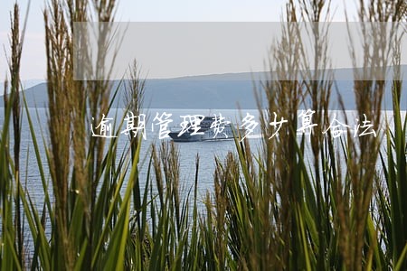 逾期管理费多少算合法 逾期管理费多少算合法