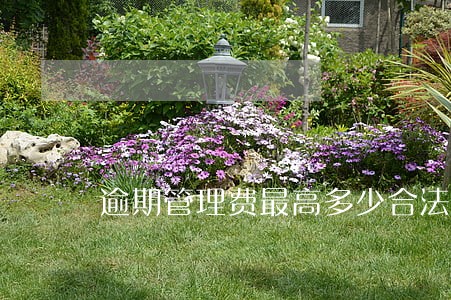 逾期管理费最高多少合法 逾期管理费最高多少合法